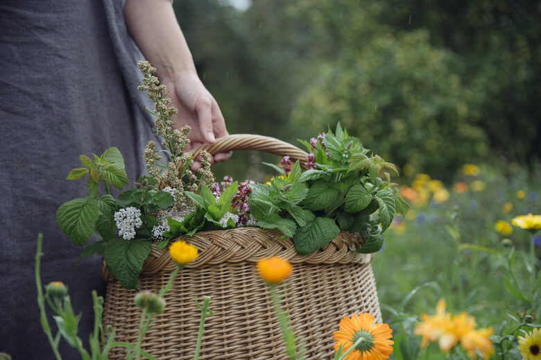 Excursion in Farm Ozolini