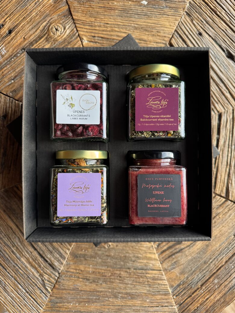 Dāvana - Mājīguma spēks