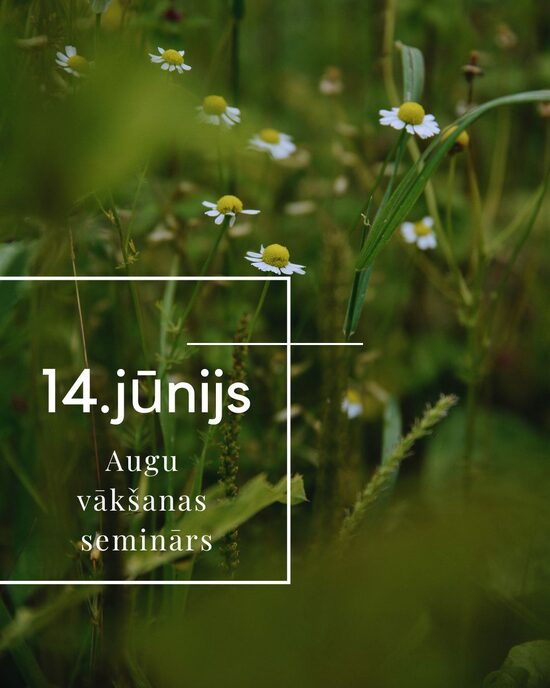 Augu vākšana seminārs - 14.jūnijā, plkst 14:00