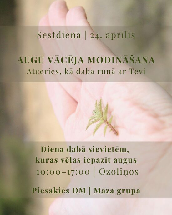 Augu vācēja modināšana – augu kurss dabā