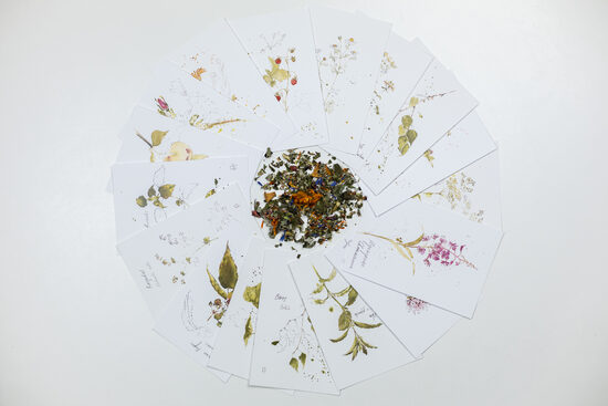 Augu Sajūtas Kartiņas