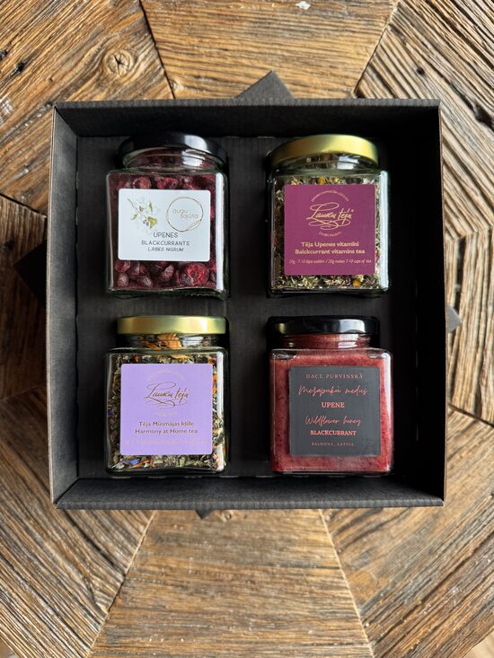 Dāvana - Mājīguma spēks